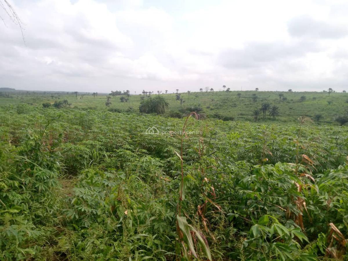 Land, Odo Alumapebi, Ijebu Ode, Ogun, Mixed-use Land for Sale