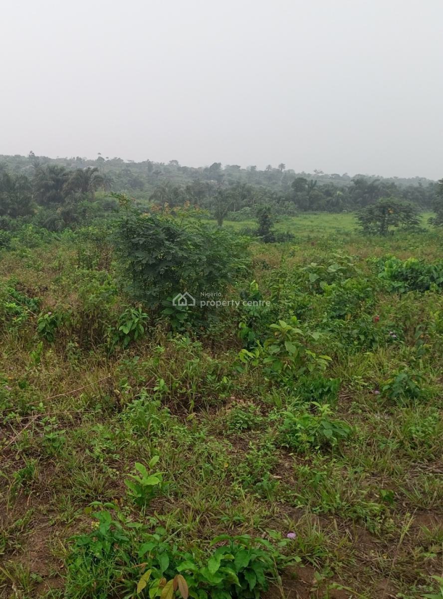 Govt. Approved Table Land, Strategically Located, Greenville Estate, Umuokire Okuku, Owerri West, Imo, Mixed-use Land for Sale