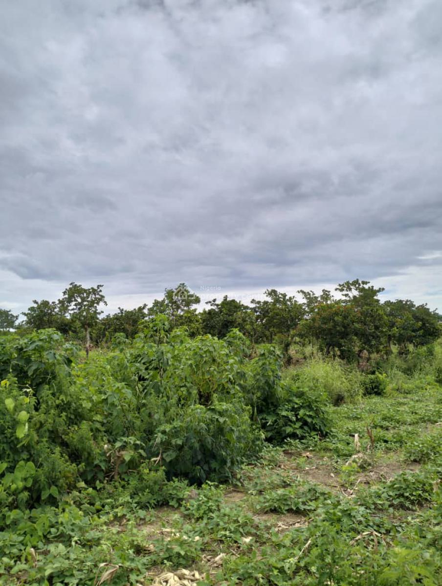 4.4 Hectares of Flat Land with Cofo, By Elrufai Dumping Ground, Kyami, Abuja, Residential Land for Sale