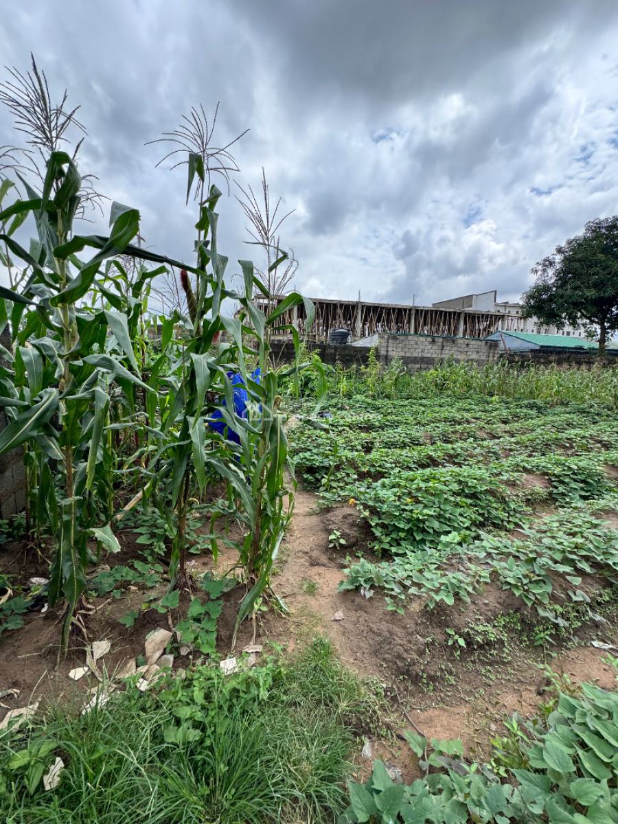 Excellent Location for High / Medium Density Residential Housing, Adjacent Ics School Near Airport Junction, Jabi, Abuja, Residential Land for Sale
