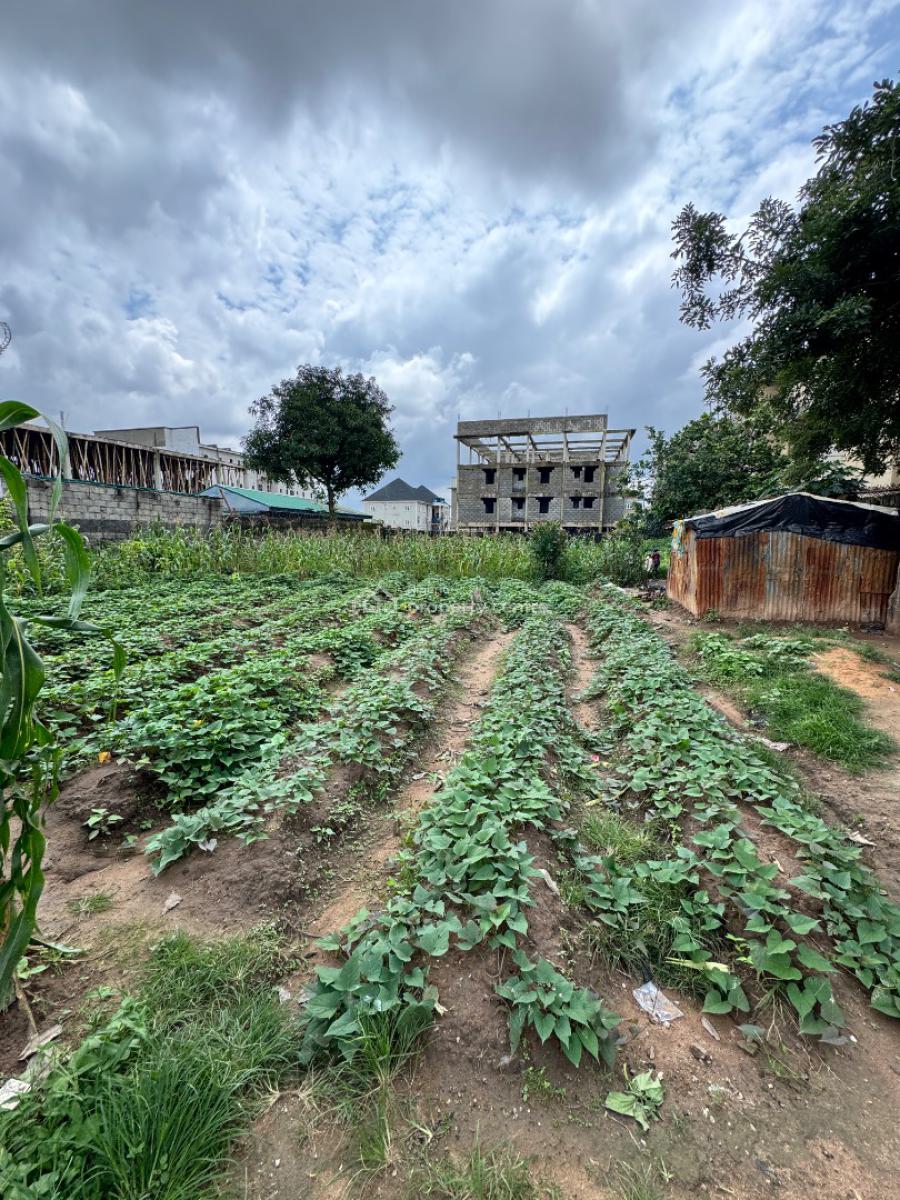 Excellent Location for High / Medium Density Residential Housing, Adjacent Ics School Near Airport Junction, Jabi, Abuja, Residential Land for Sale