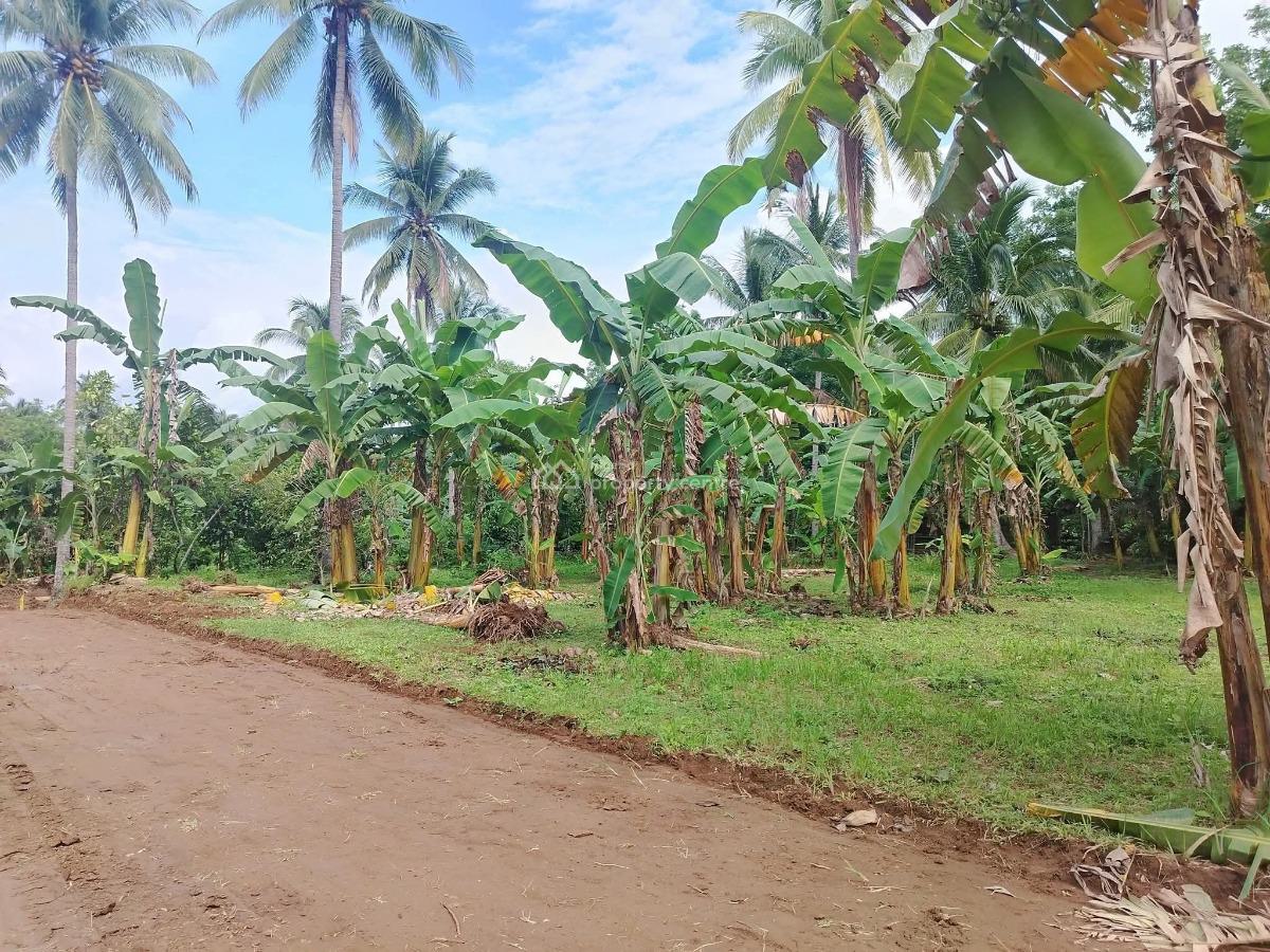 Residential Beach Front Estate Land, Ibeju Lekki, Lagos, Residential Land for Sale