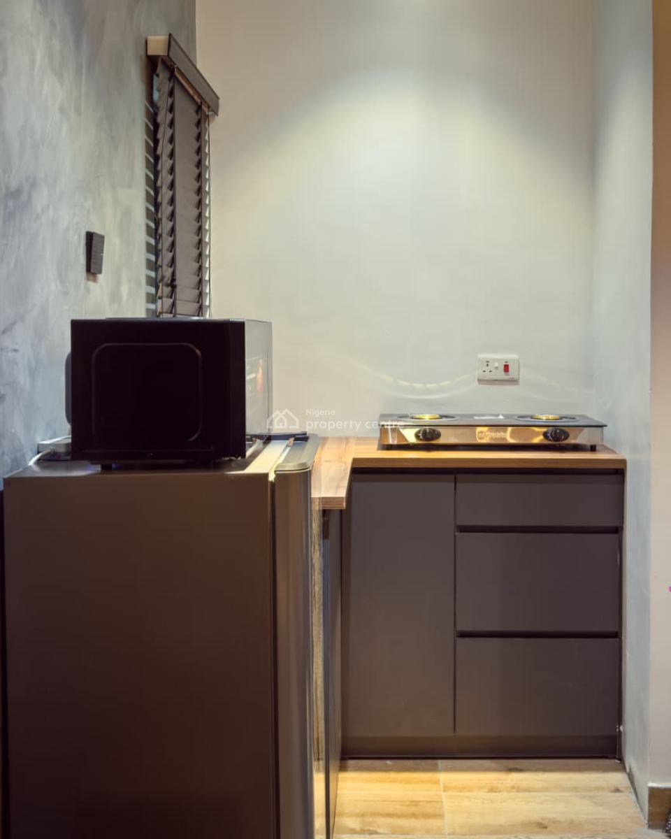 Luxury 1 Bedroom Apartment, 24 Abayomi Street, Surulere, Lagos, Mini Flat (room and Parlour) Short Let