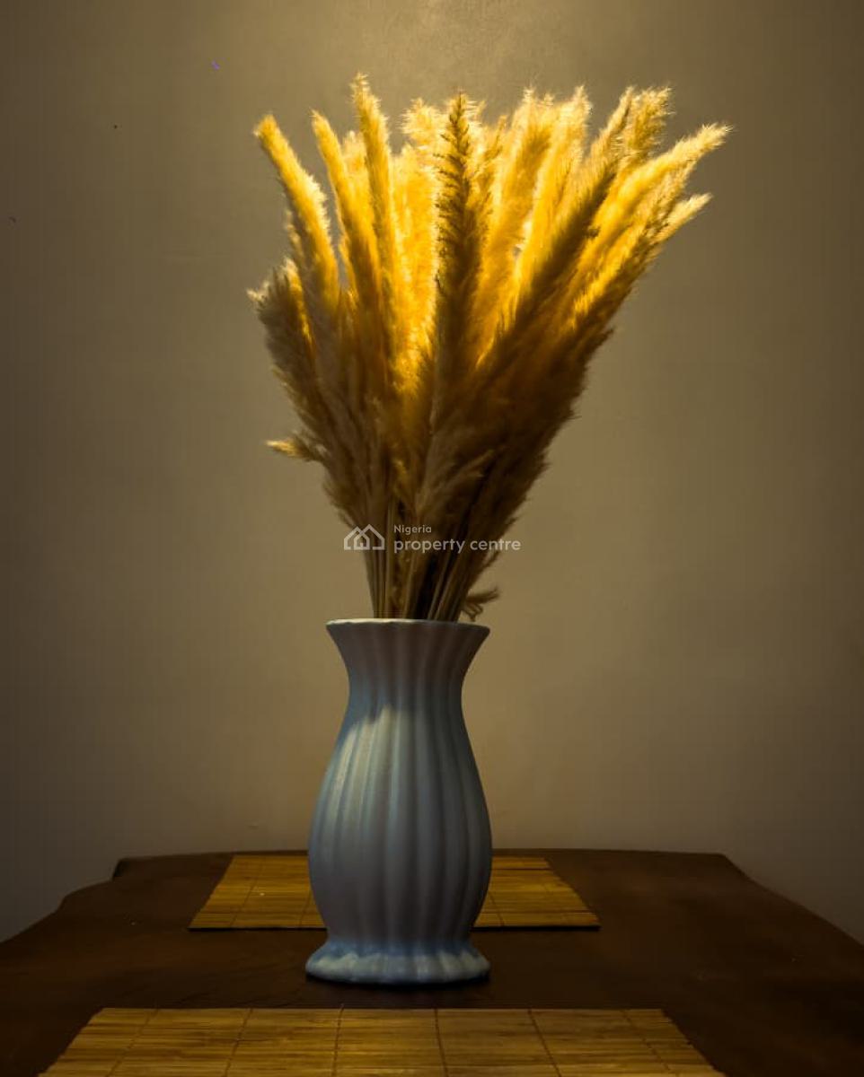 Luxury 1 Bedroom Apartment, 24 Abayomi Street, Surulere, Lagos, Mini Flat (room and Parlour) Short Let