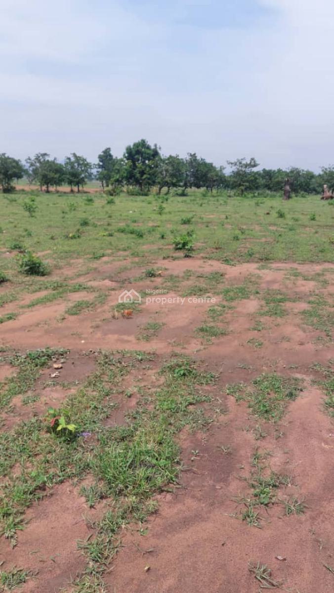 Table Land Available, Central Business District, Abuja, Mixed-use Land for Sale