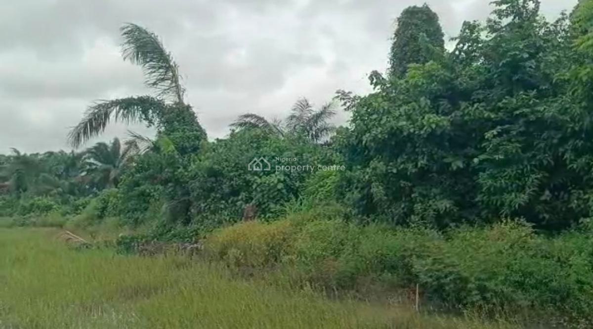 1,000 Sqm of Dryland in a Good  Location with Access Road in Progress., Inside Ajayi Apata Estate, Sangotedo, Ajah, Lagos, Residential Land for Sale