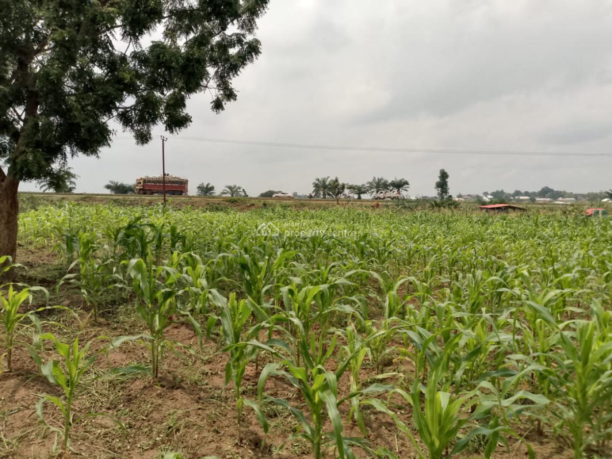 1 Hectares Facing Express Way Available, Keffi, Nasarawa, Mixed-use Land for Sale