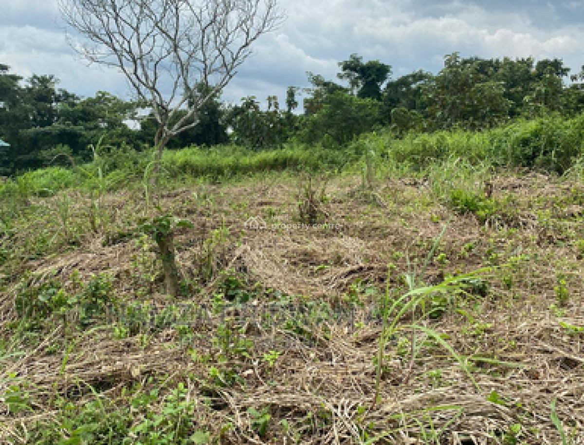 Land for Prime Garden Plot, Nasir El-rufai Crescent, Guzape District, Abuja, Mixed-use Land for Sale