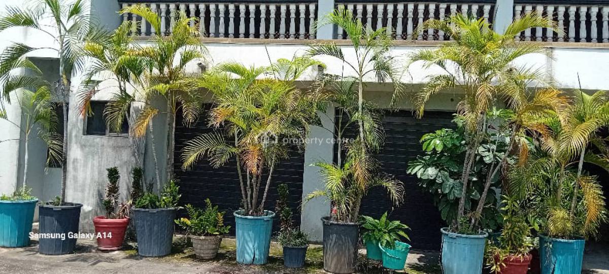 Fantastic Lovely 8 Bedroom, Festac, Amuwo Odofin, Lagos, Detached Duplex for Sale
