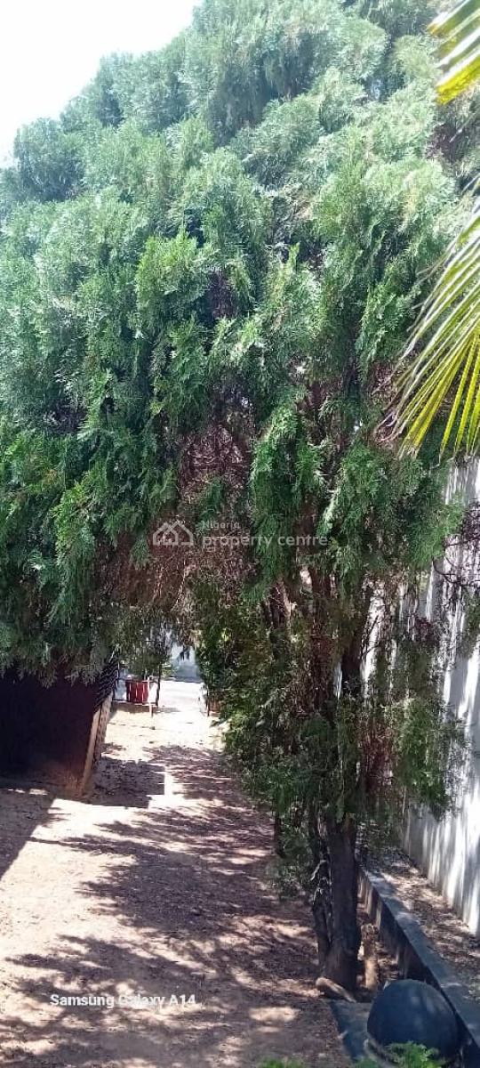 Fantastic Lovely 8 Bedroom, Festac, Amuwo Odofin, Lagos, Detached Duplex for Sale