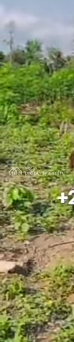 Dry  Estate Land, Ivy City, Ilado, Ijebu -ode Road, Ijebu East, Ogun, Mixed-use Land for Sale