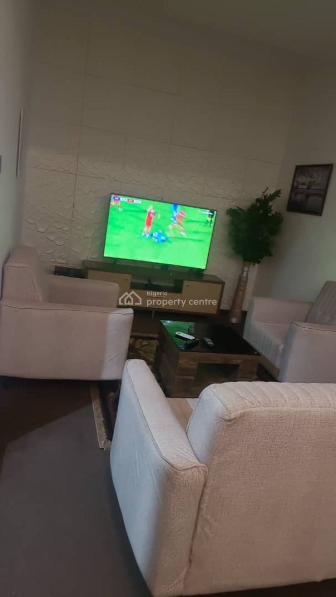 Fully Furnished and Serviced 1 Bedroom Flat, Videos Available, Asokoro Main, Asokoro District, Abuja, Flat / Apartment for Rent