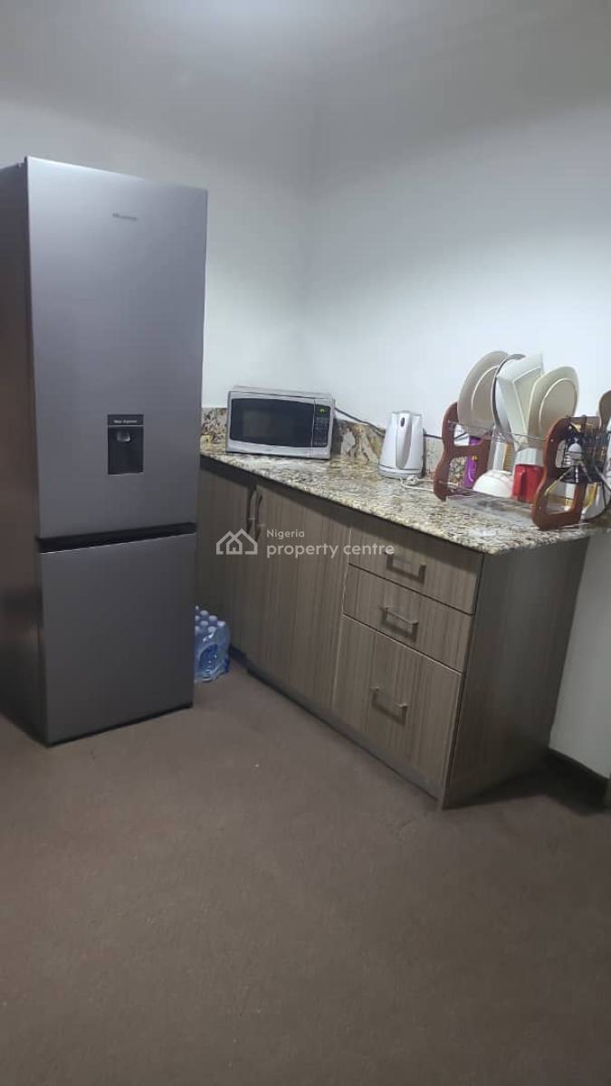 Fully Furnished and Serviced 1 Bedroom Flat, Videos Available, Asokoro Main, Asokoro District, Abuja, Flat / Apartment for Rent
