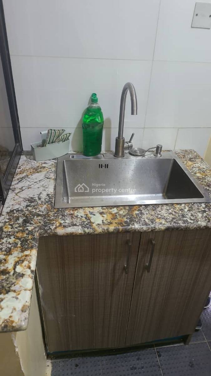 Fully Furnished and Serviced 1 Bedroom Flat, Videos Available, Asokoro Main, Asokoro District, Abuja, Flat / Apartment for Rent