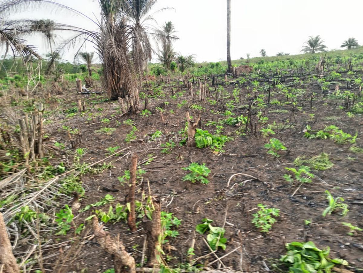 Affordable Farm Land Good for Agriculture, Green Wealth Farm Isiwo After Epe Toll Gate, Epe, Lagos, Mixed-use Land for Sale