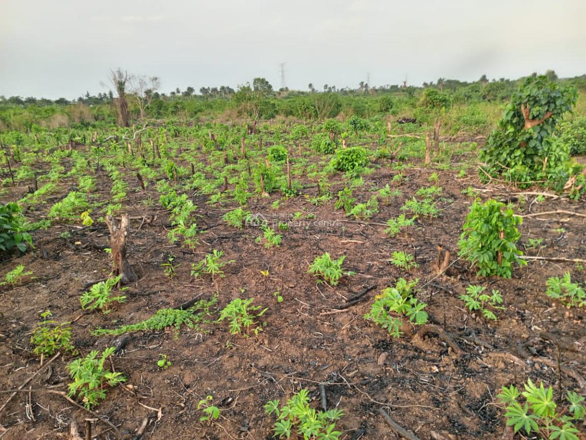 Affordable Farm Land Good for Agriculture, Green Wealth Farm Isiwo After Epe Toll Gate, Epe, Lagos, Mixed-use Land for Sale