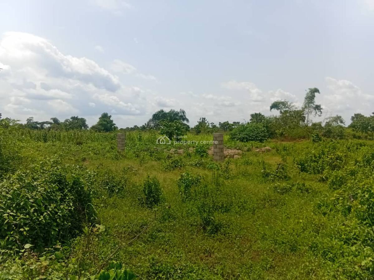 Large Parcel of Industrial Land, Along Papalanto Sagamu Expressway Beside Pacific Power Plant, Olorunso, Sagamu, Ogun, Industrial Land for Sale