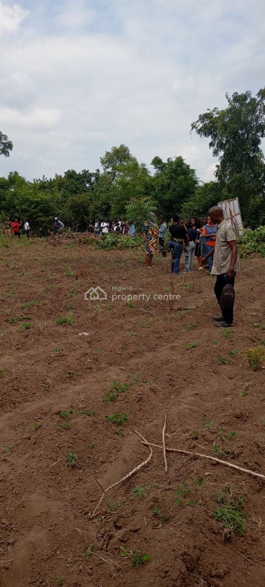 Palm Plantation Land, Palm Crest Estate Phase 2, Imeko Afon, Ogun, Industrial Land for Sale