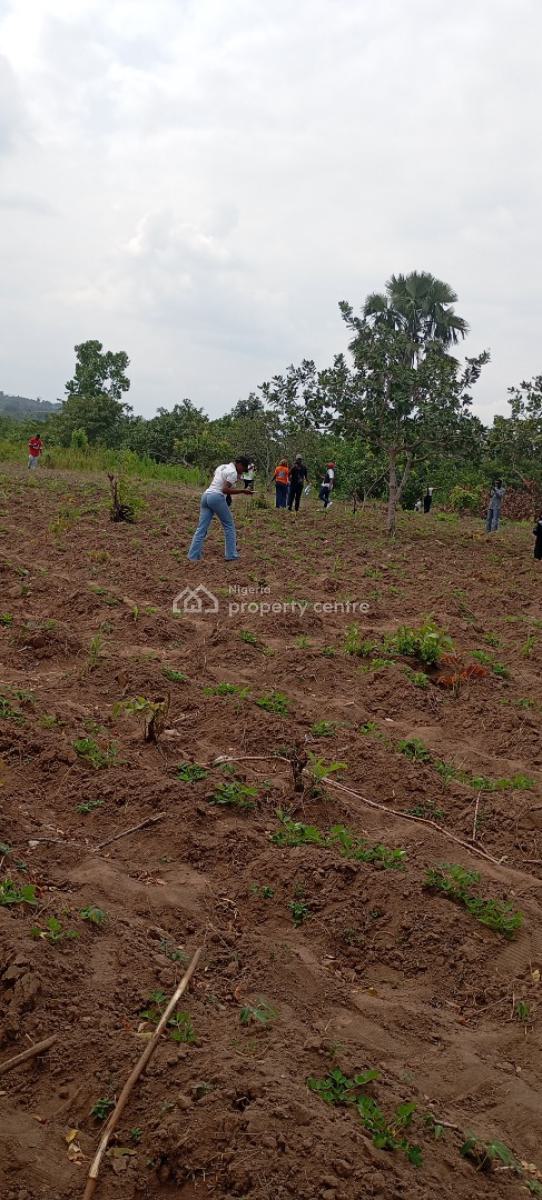 Palm Plantation Land, Palm Crest Estate Phase 2, Imeko Afon, Ogun, Industrial Land for Sale