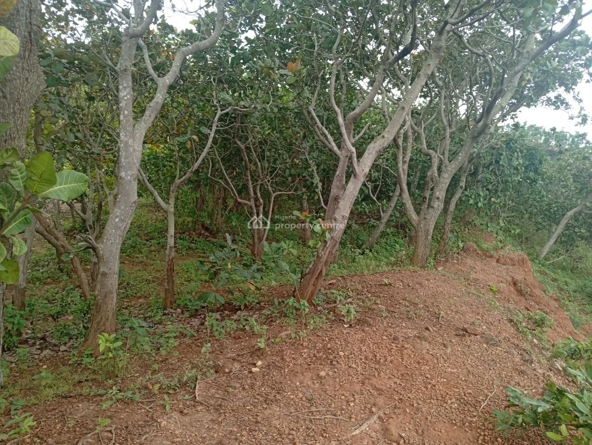 Luxury Mixed-use Land, Guzape District, Abuja, Mixed-use Land for Sale