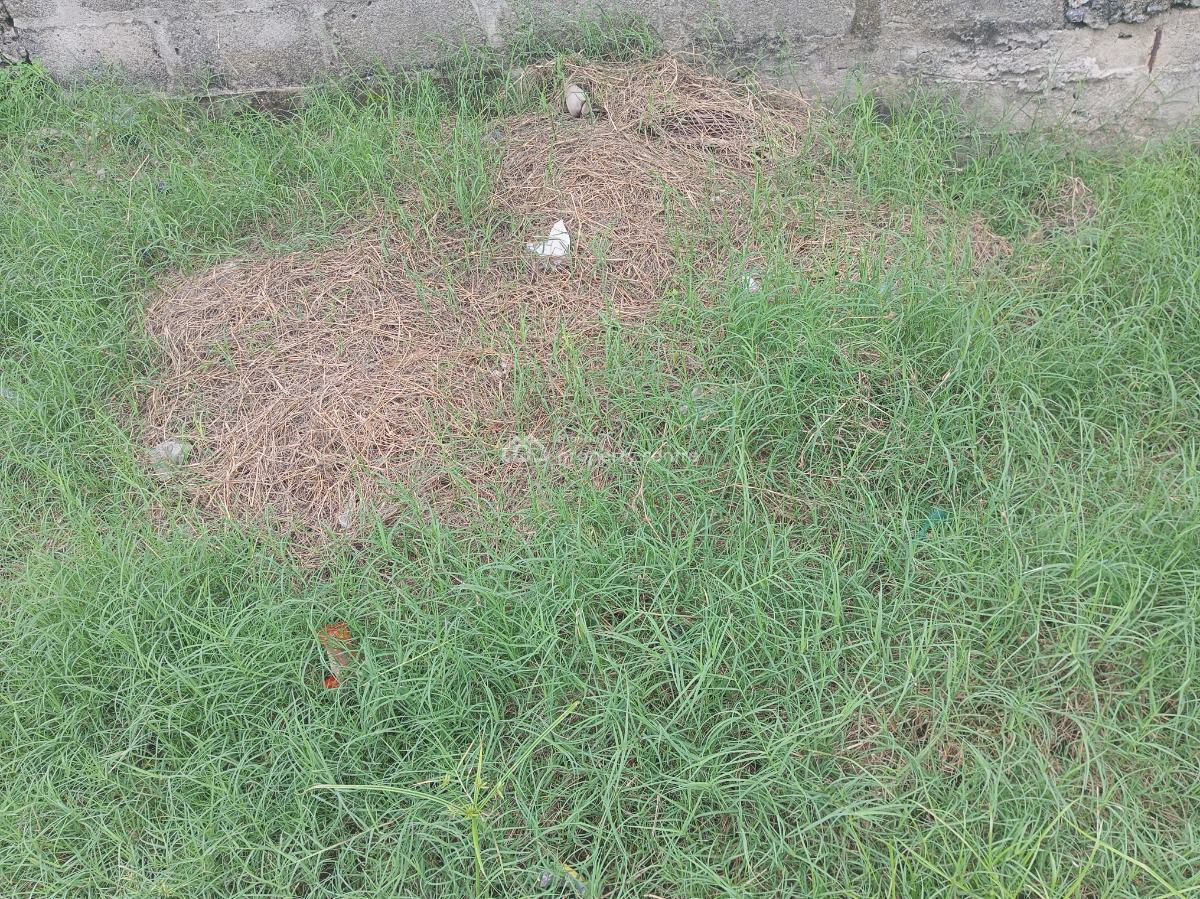 One and Half Plot, By Lbs, Olokonla, Ajah, Lagos, Mixed-use Land for Sale