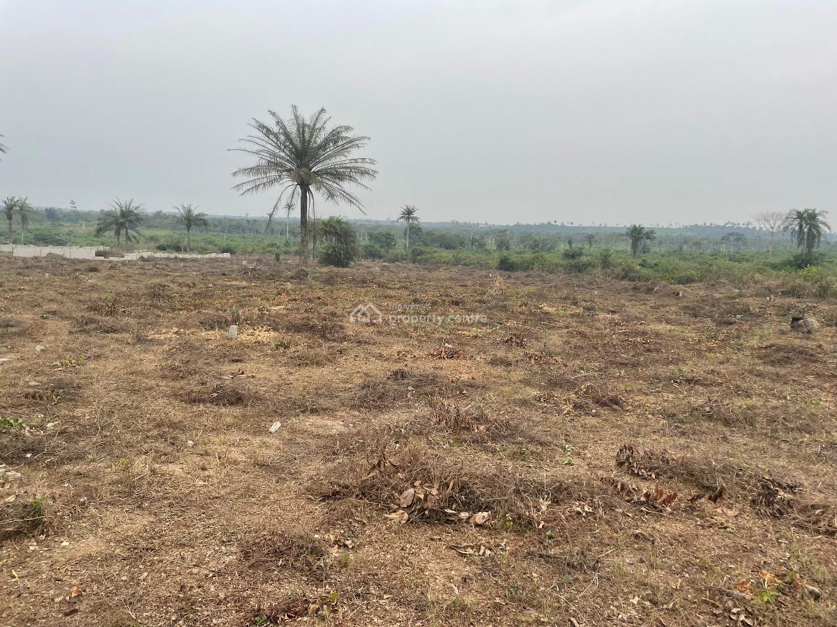 C of O. Buy & Build Champions Court Estate, Lekki International Airport, Epe, Lagos, Land for Sale