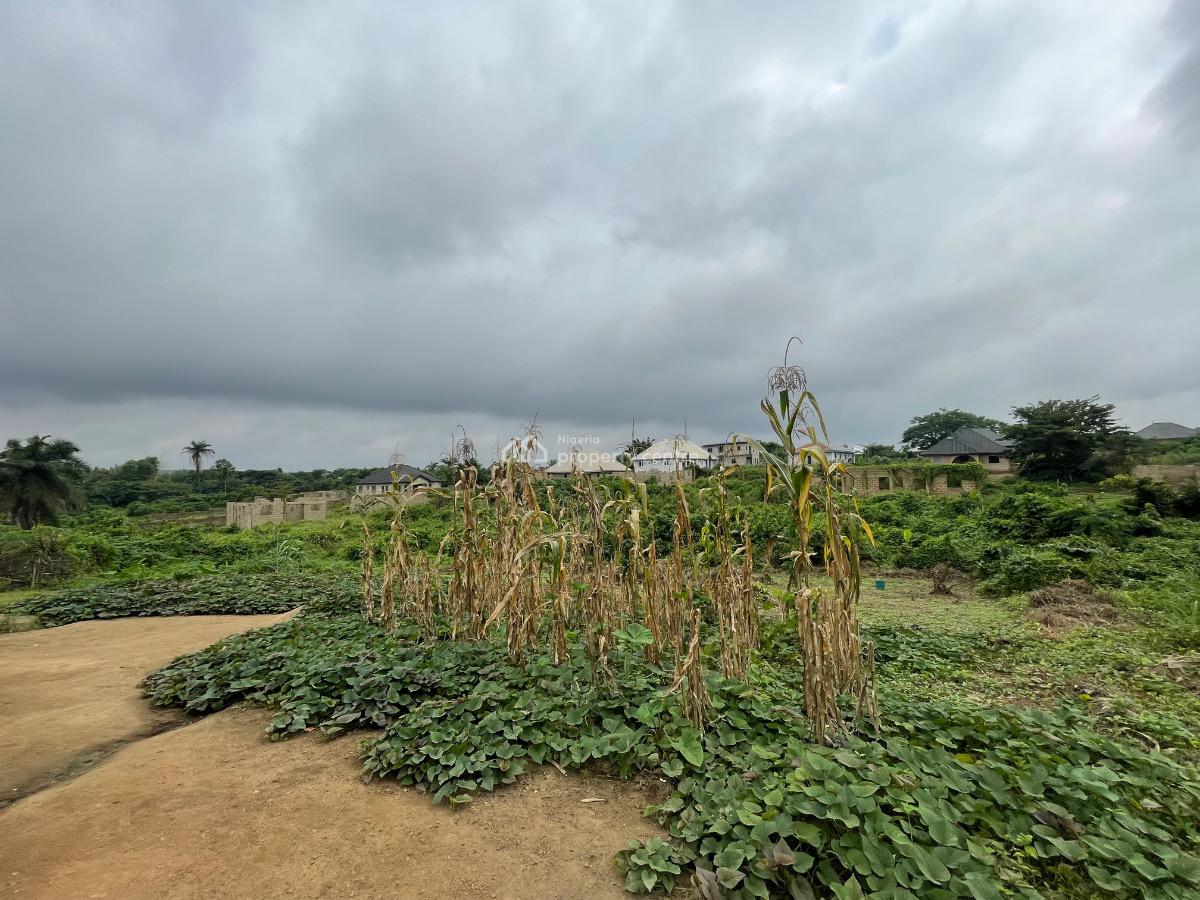 a Well Located Residential Plot of Land Measuring 420sqm., Moboluwaduro Alaagba Estate, Odeyale, Ibadan, Ona Ara, Oyo, Residential Land for Sale