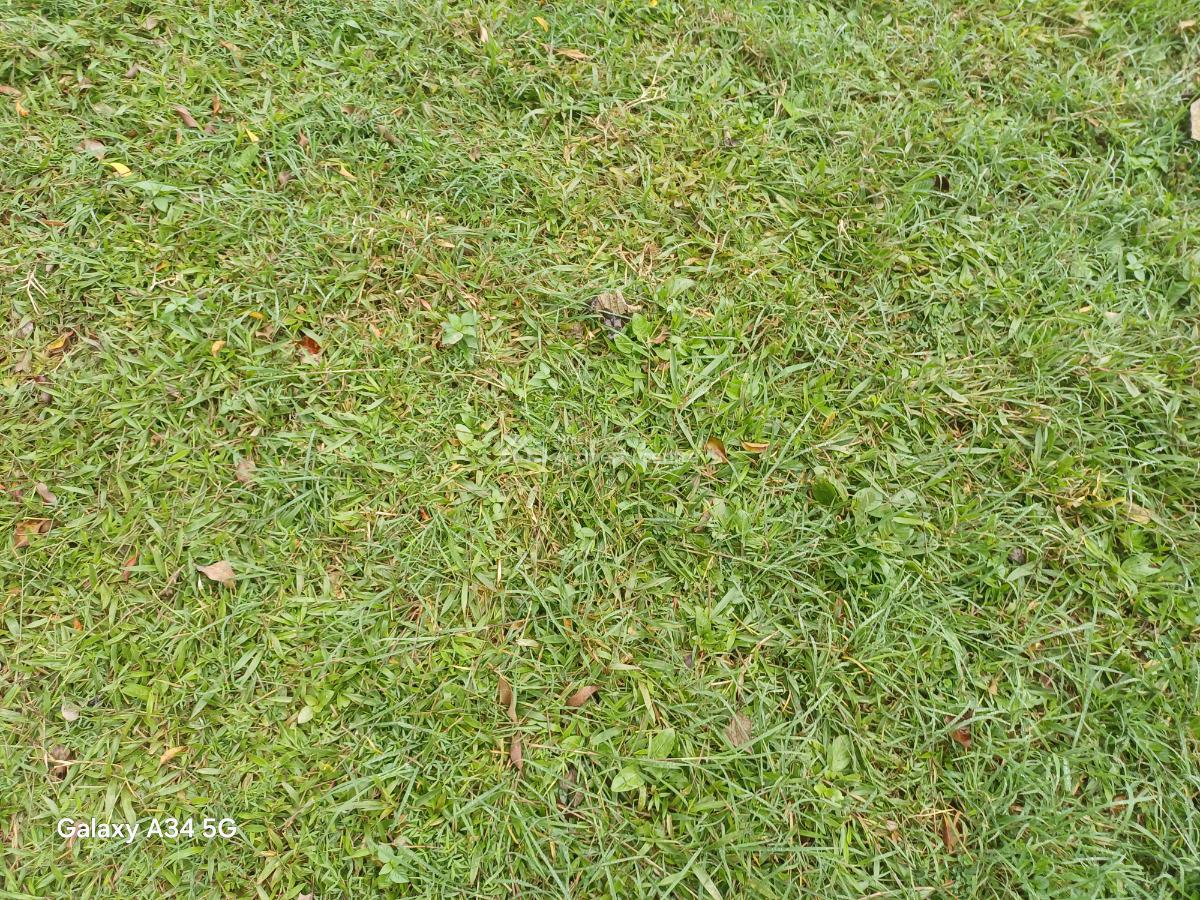 500 Sqm Land, Near Daughters of Charity Hospital, Fo1 Layout, Kubwa, Abuja, Residential Land for Sale