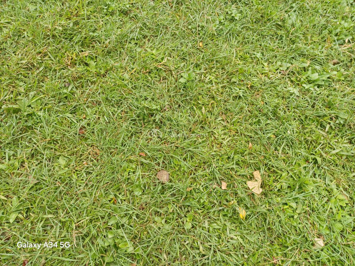 500 Sqm Land, Near Daughters of Charity Hospital, Fo1 Layout, Kubwa, Abuja, Residential Land for Sale