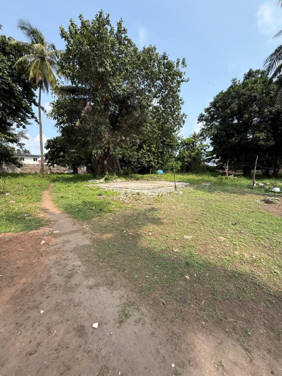 Bareland Measuring 4000 Sqm for Lease, Victoria Island (vi), Lagos, Mixed-use Land for Rent
