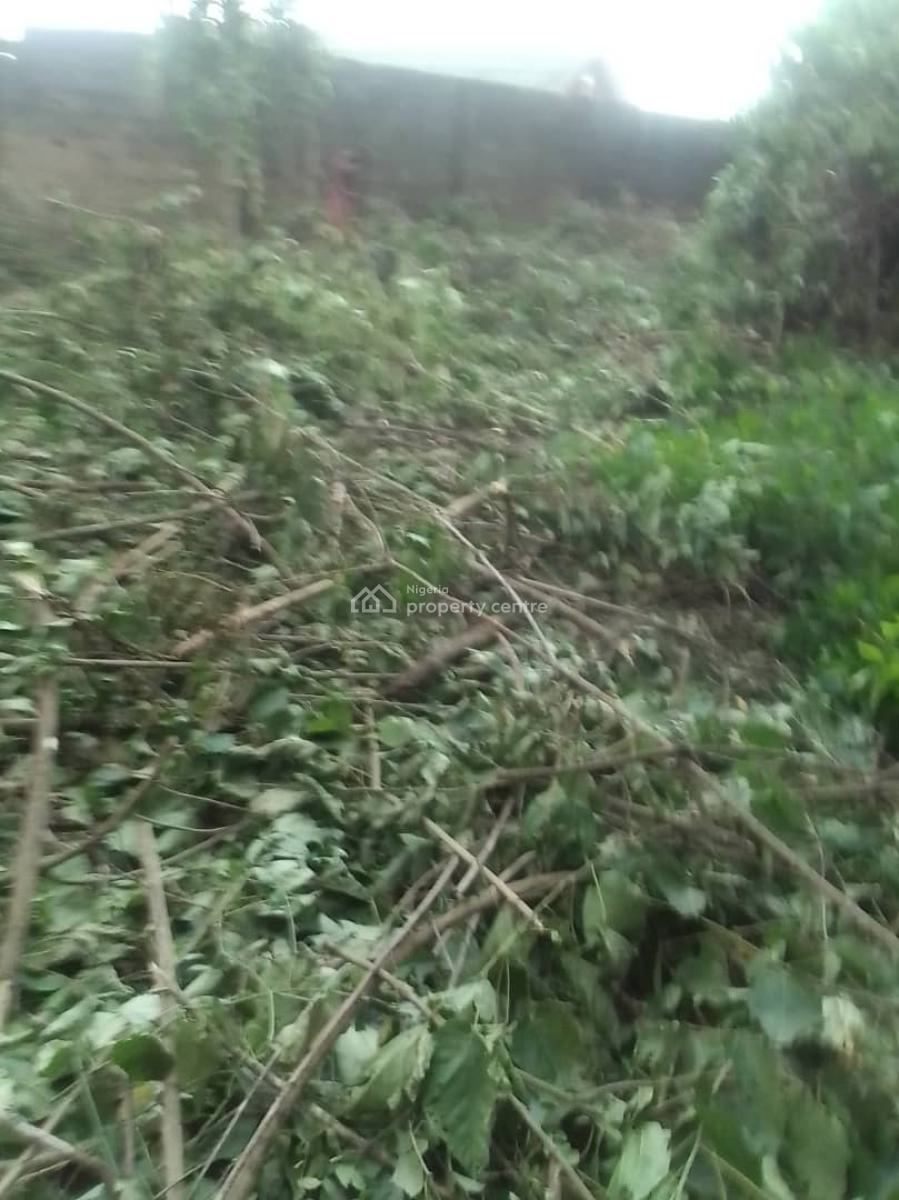 Farm Land for Long Lease, Remo North, Ogun, Commercial Land for Rent