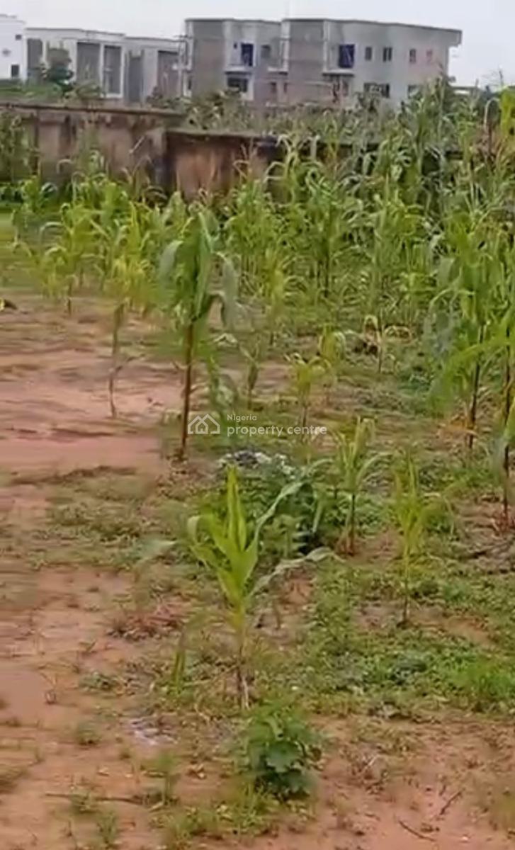 1000sqm, Residential, C of O, Behind Bon Hotel, Katampe (main), Katampe, Abuja, Residential Land for Sale