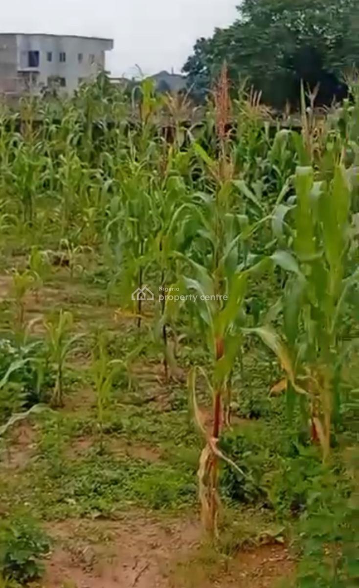 1000sqm, Residential, C of O, Behind Bon Hotel, Katampe (main), Katampe, Abuja, Residential Land for Sale