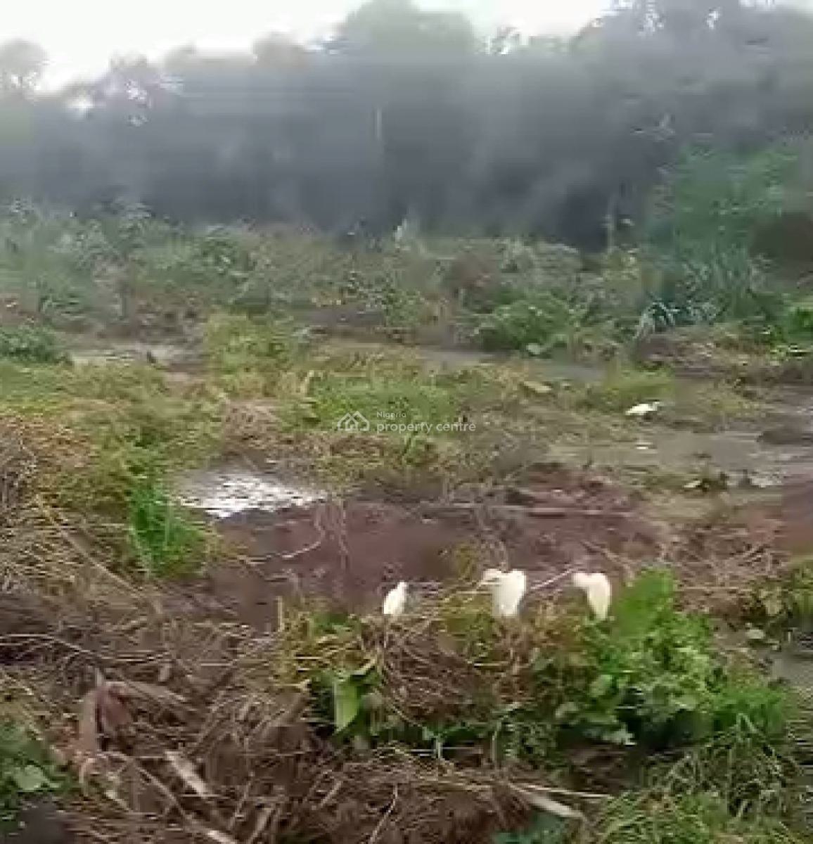 1 Acre of Dry Bare Land Along The Express Way, Along Abeokuta - Lagos Expressway, Km 46, Ogun, Mixed-use Land for Sale