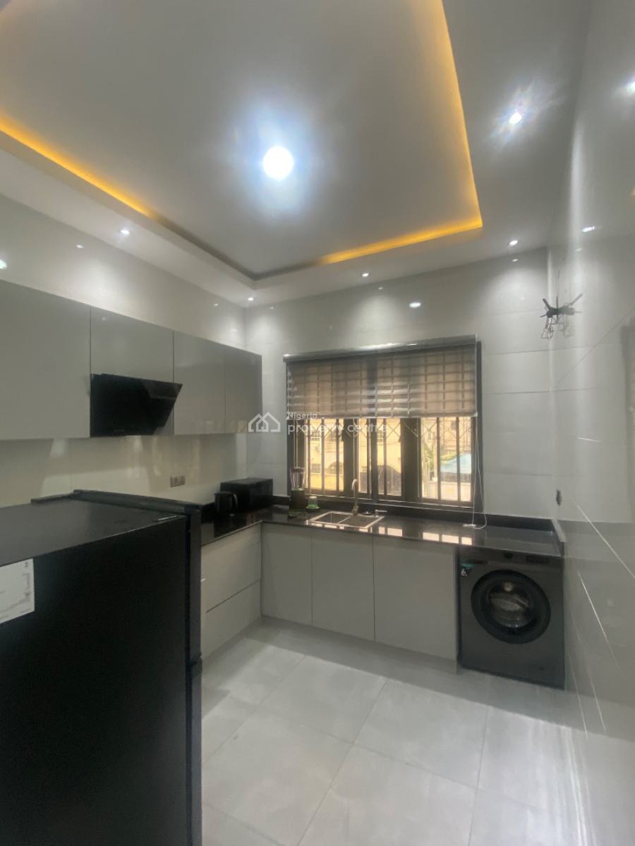 Fully Furnished Luxuriously Built 2 Bedroom Apartment (duplex), Ikate, Lekki, Lagos, Flat / Apartment for Rent