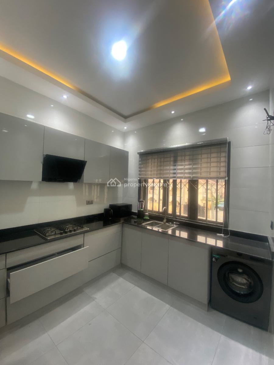 Fully Furnished Luxuriously Built 2 Bedroom Apartment (duplex), Ikate, Lekki, Lagos, Flat / Apartment for Rent