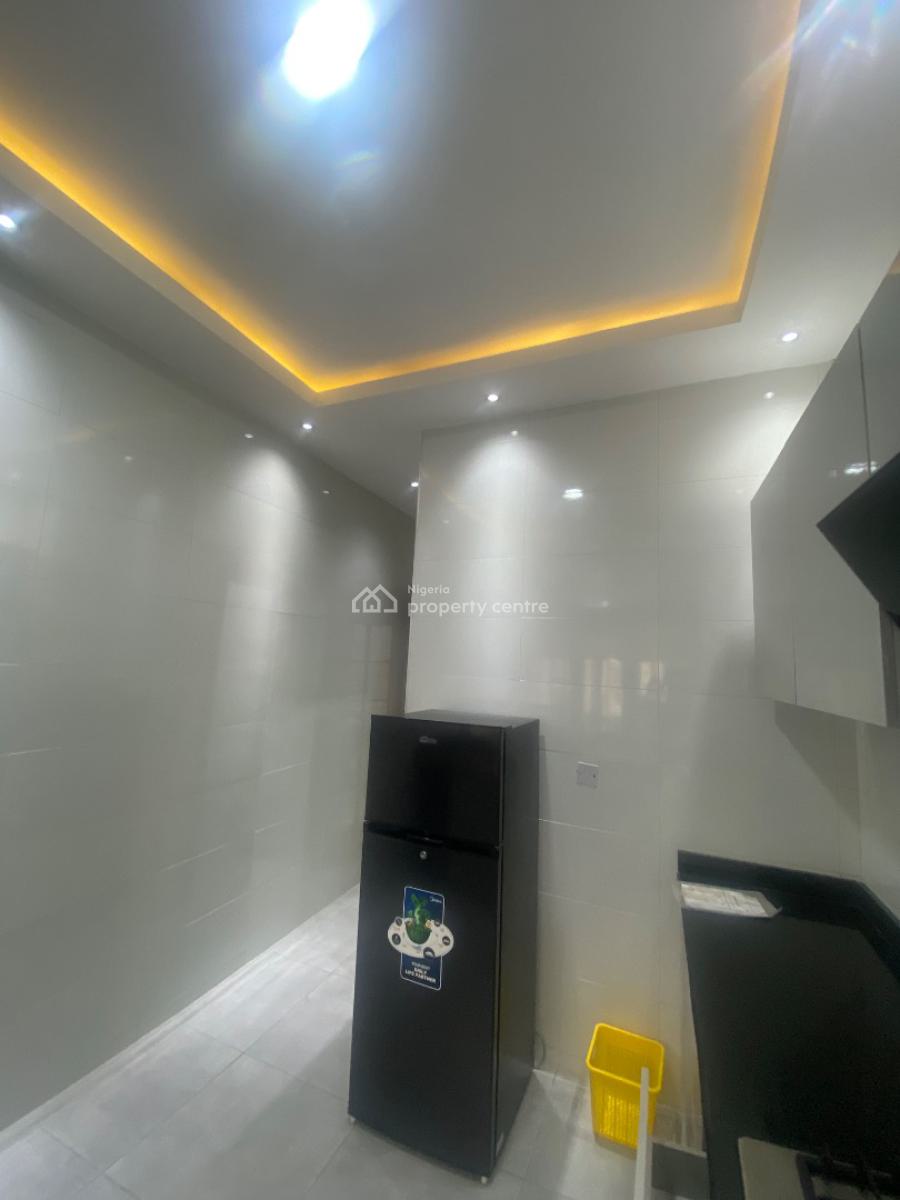 Fully Furnished Luxuriously Built 2 Bedroom Apartment (duplex), Ikate, Lekki, Lagos, Flat / Apartment for Rent