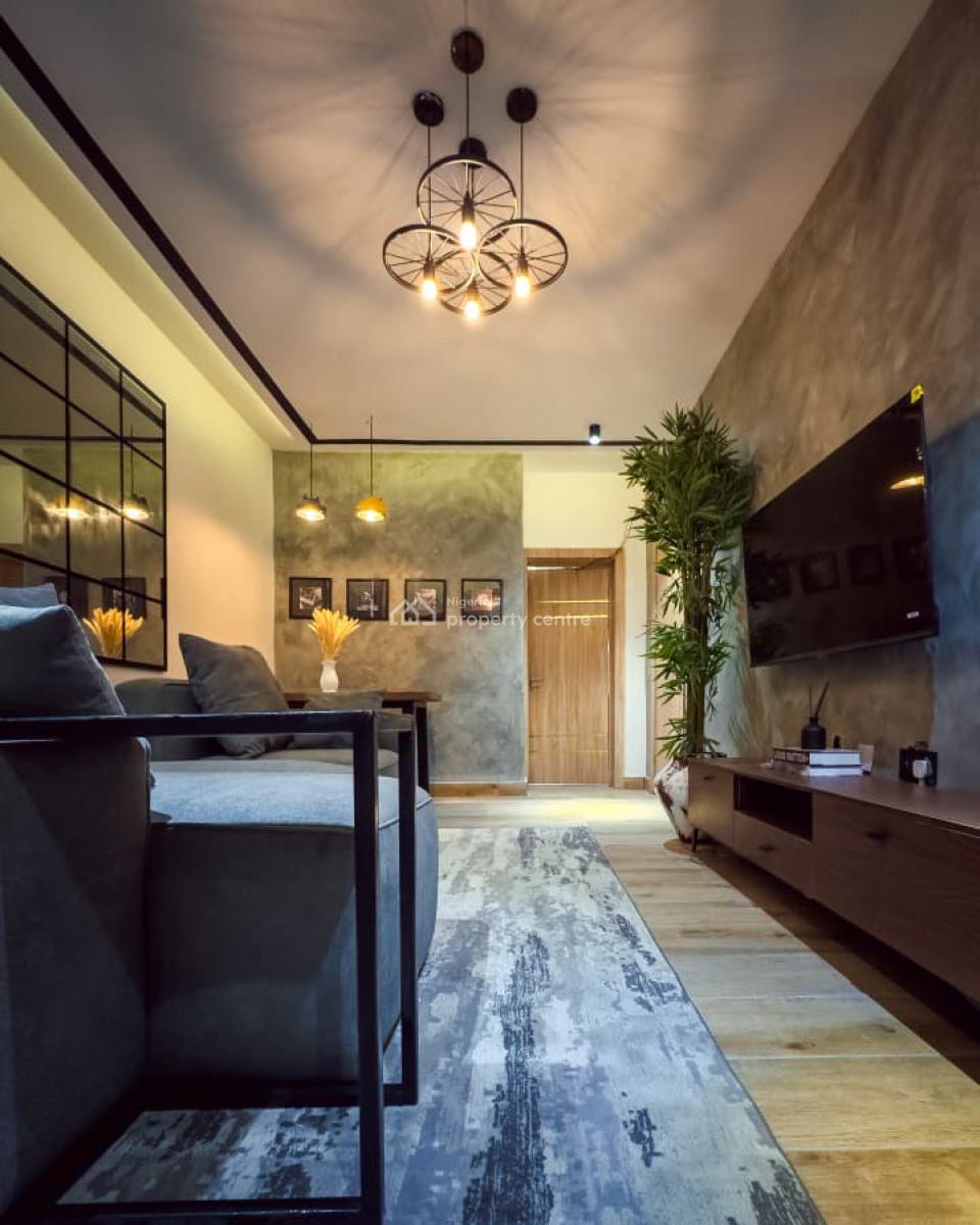 Tastefully Furnished One Bedroom Apartment, Surulere, Lagos, Mini Flat (room and Parlour) Short Let