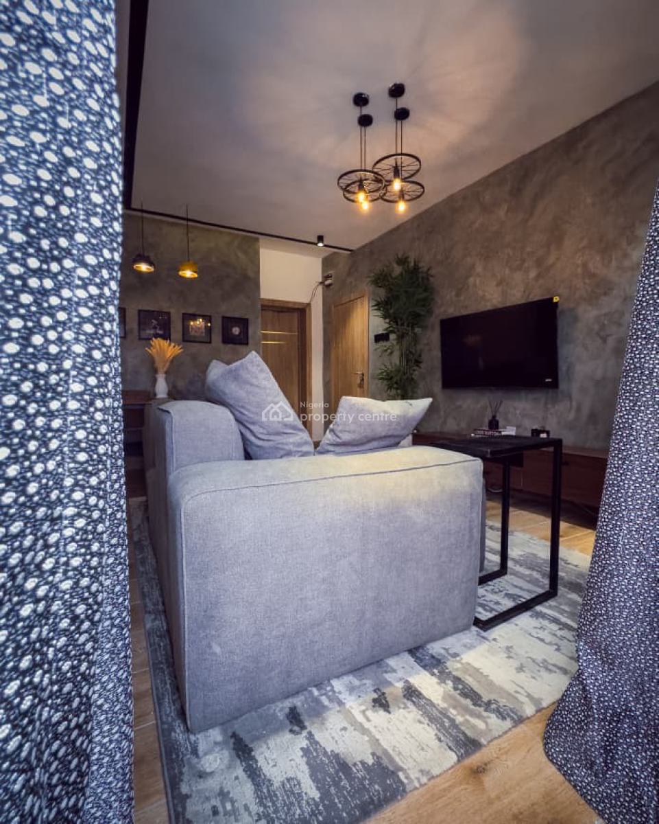 Tastefully Furnished One Bedroom Apartment, Surulere, Lagos, Mini Flat (room and Parlour) Short Let
