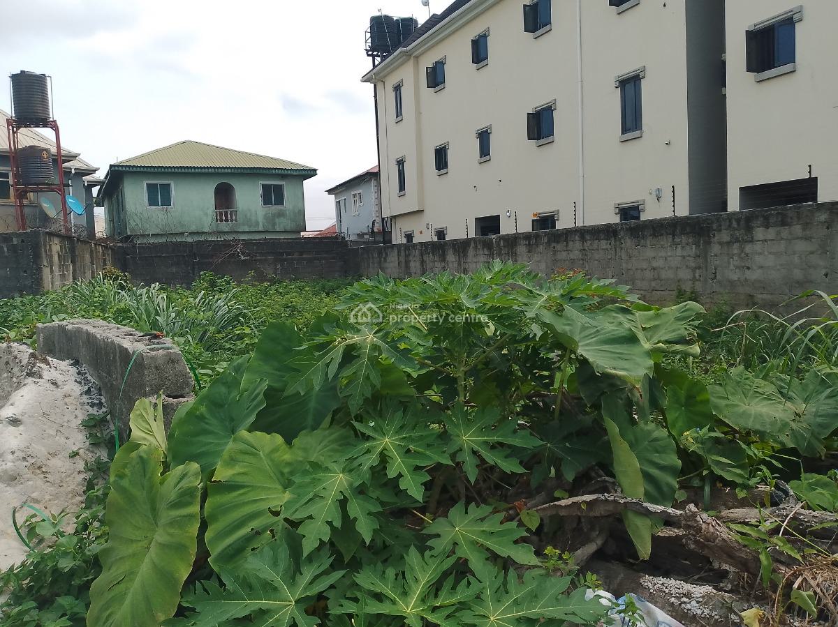 Full Plot of Land with Excellent Road Network, Terra Annex Estate, Sangotedo, Ajah, Lagos, Residential Land for Sale