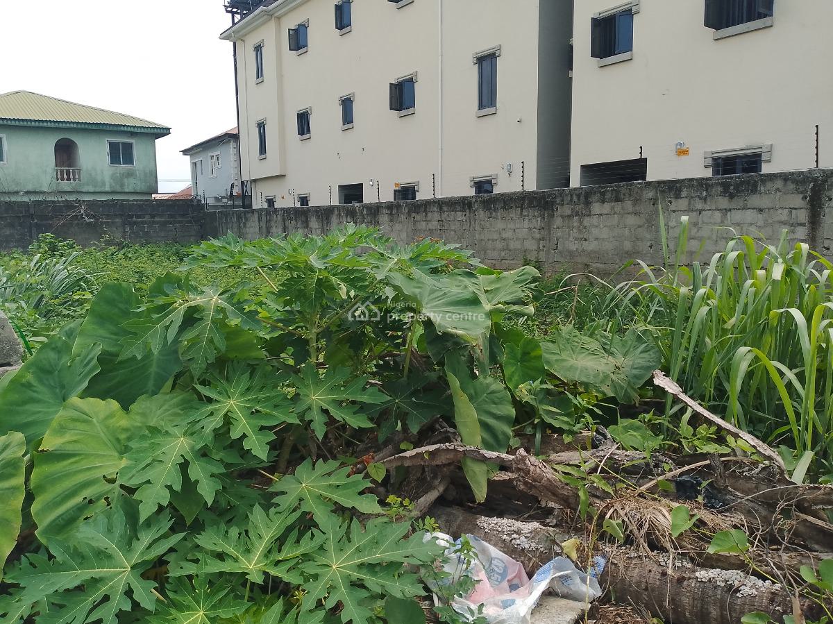 Full Plot of Land with Excellent Road Network, Terra Annex Estate, Sangotedo, Ajah, Lagos, Residential Land for Sale