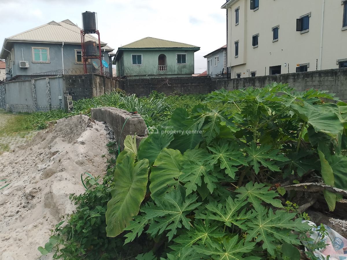 Full Plot of Land with Excellent Road Network, Terra Annex Estate, Sangotedo, Ajah, Lagos, Residential Land for Sale