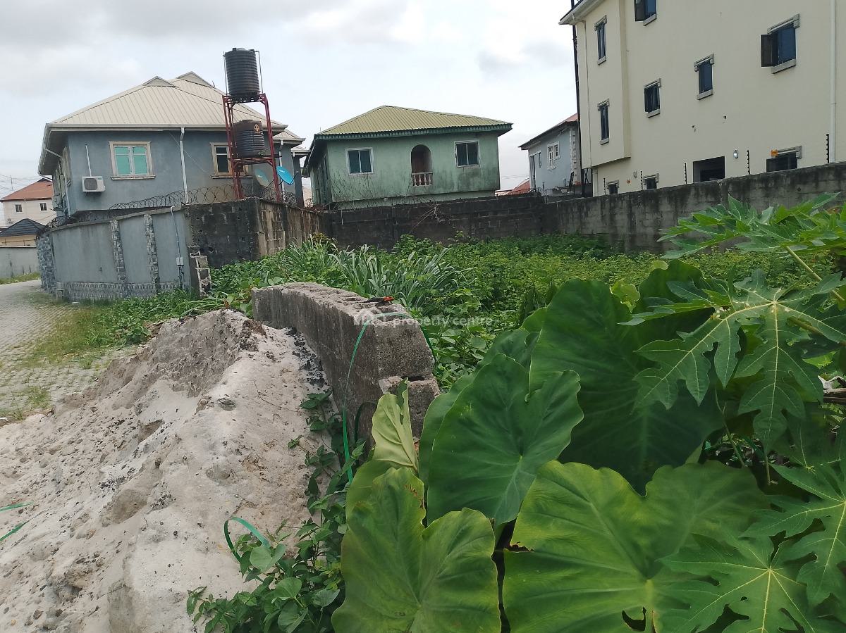 Full Plot of Land with Excellent Road Network, Terra Annex Estate, Sangotedo, Ajah, Lagos, Residential Land for Sale
