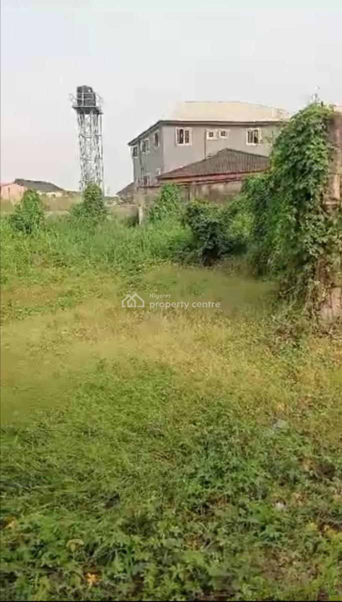 Bare Land Measuring 1300sqm with Registered Survey and Receipt, Off Chemist Area, Akoka, Yaba, Lagos, Land for Sale