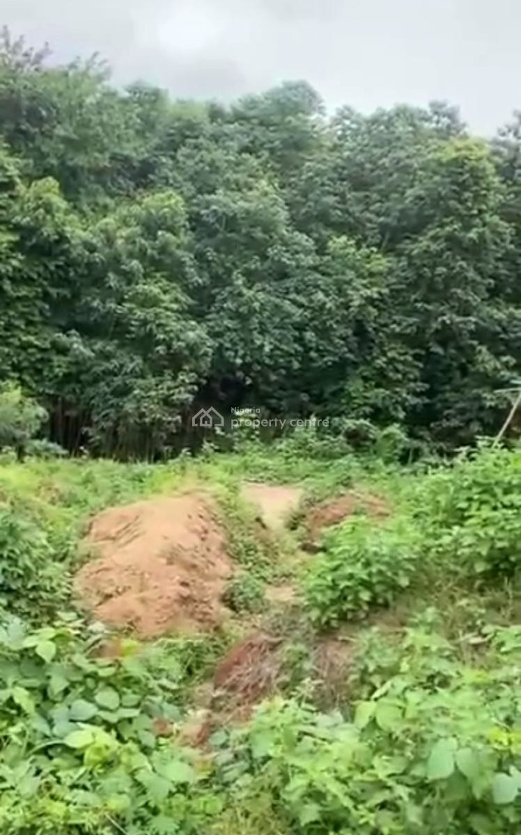 Buildable Estate Plot, Wuye, Abuja, Residential Land for Sale
