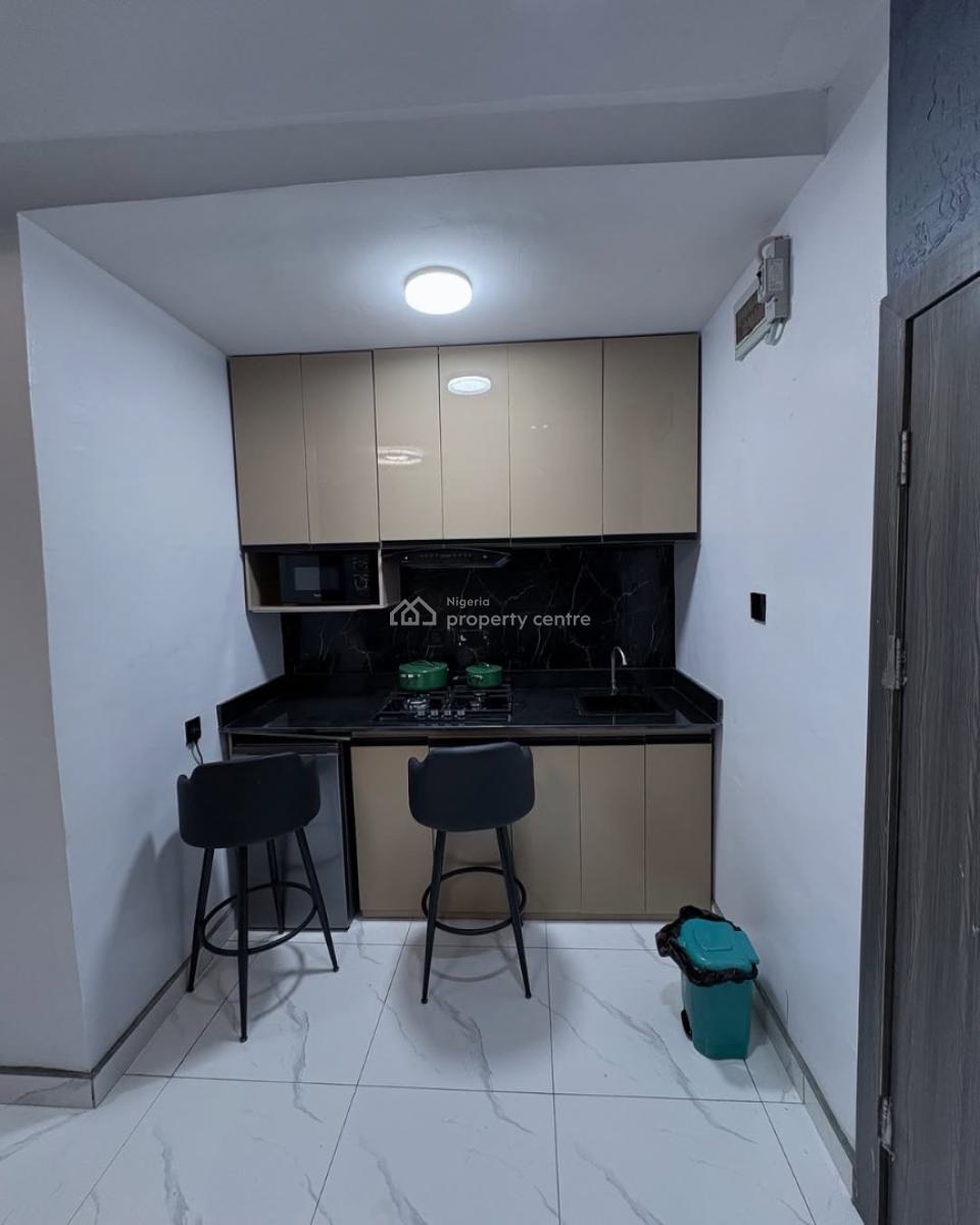 Exquisitely Furnished Studio Apartment, Surulere, Lagos, Self Contain (single Rooms) Short Let