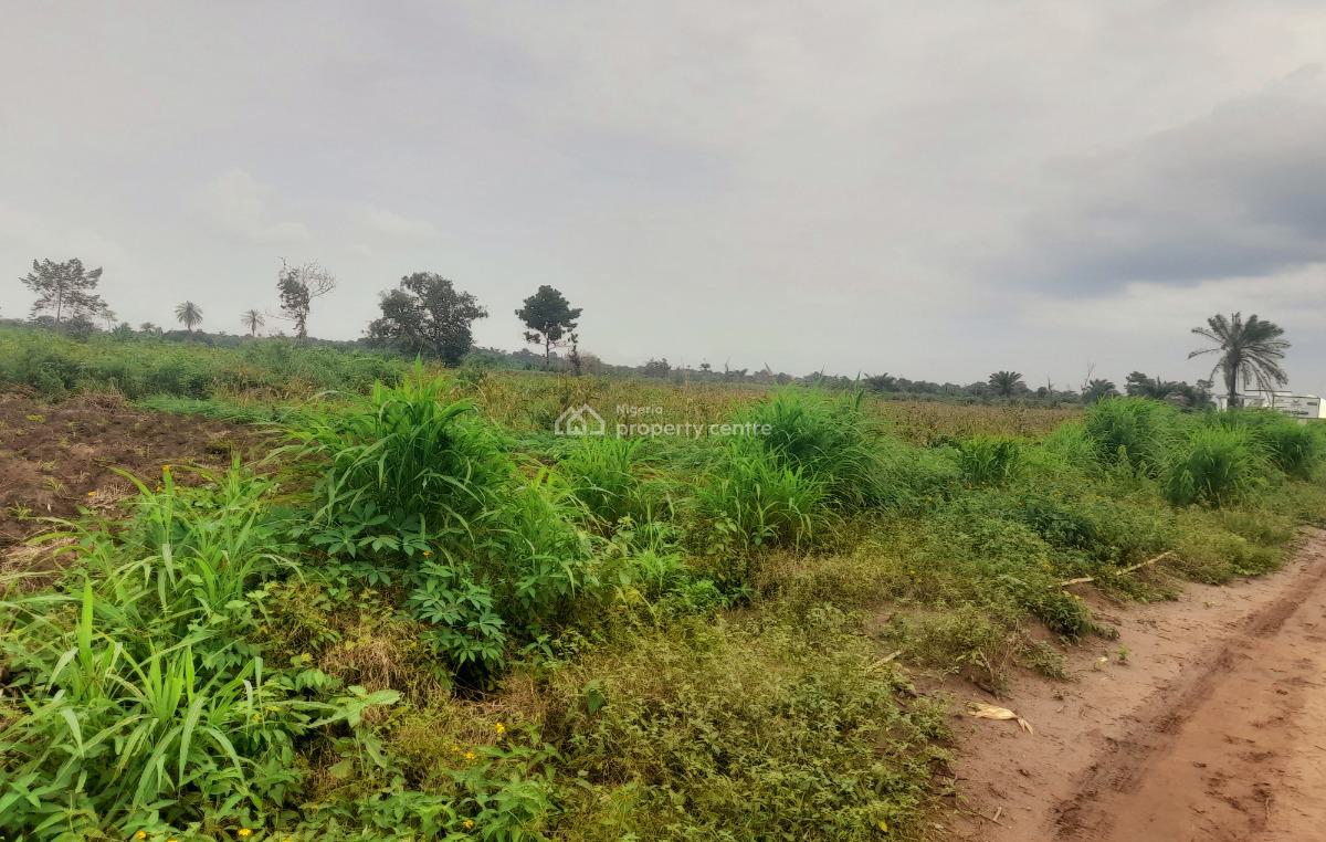 Half and Full Plots and Acres of Lands at Okpanam Area of Asaba, Okpanam, Asaba, Delta, Residential Land for Sale