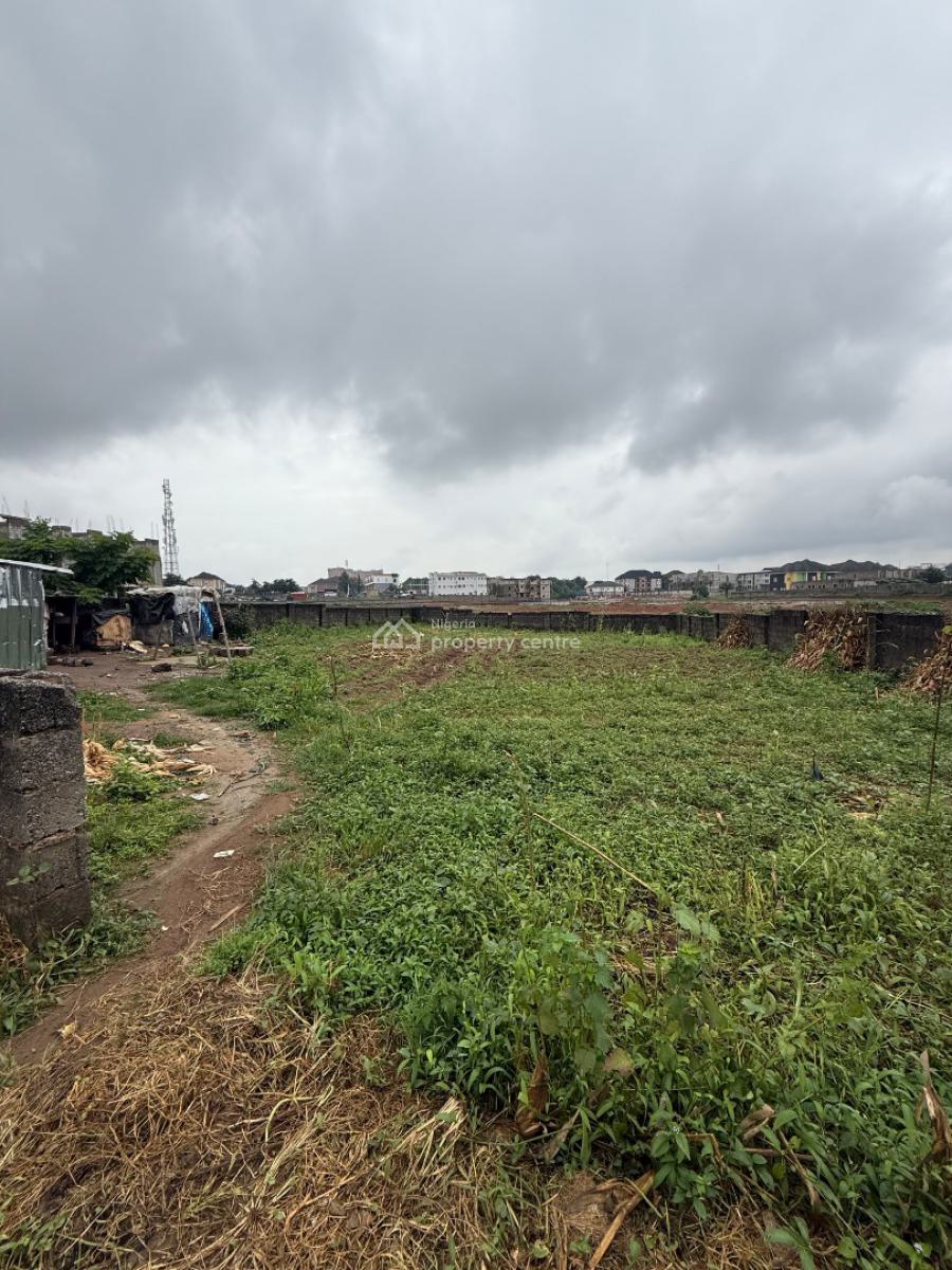 Buildable and Liveable Residential Plot of Land About 1200sqm, Jabi Dakibiyu, Jabi, Abuja, Residential Land for Sale