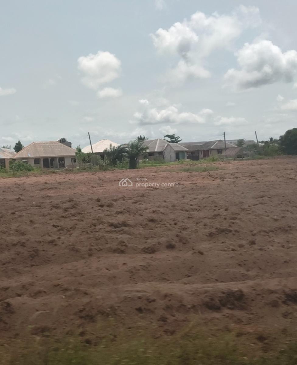 Government Approved Palm Oil Plantation Strategically Located, Asa Ilobi, Ilaro Road, Onigbedu, Ewekoro, Ogun, Mixed-use Land for Sale