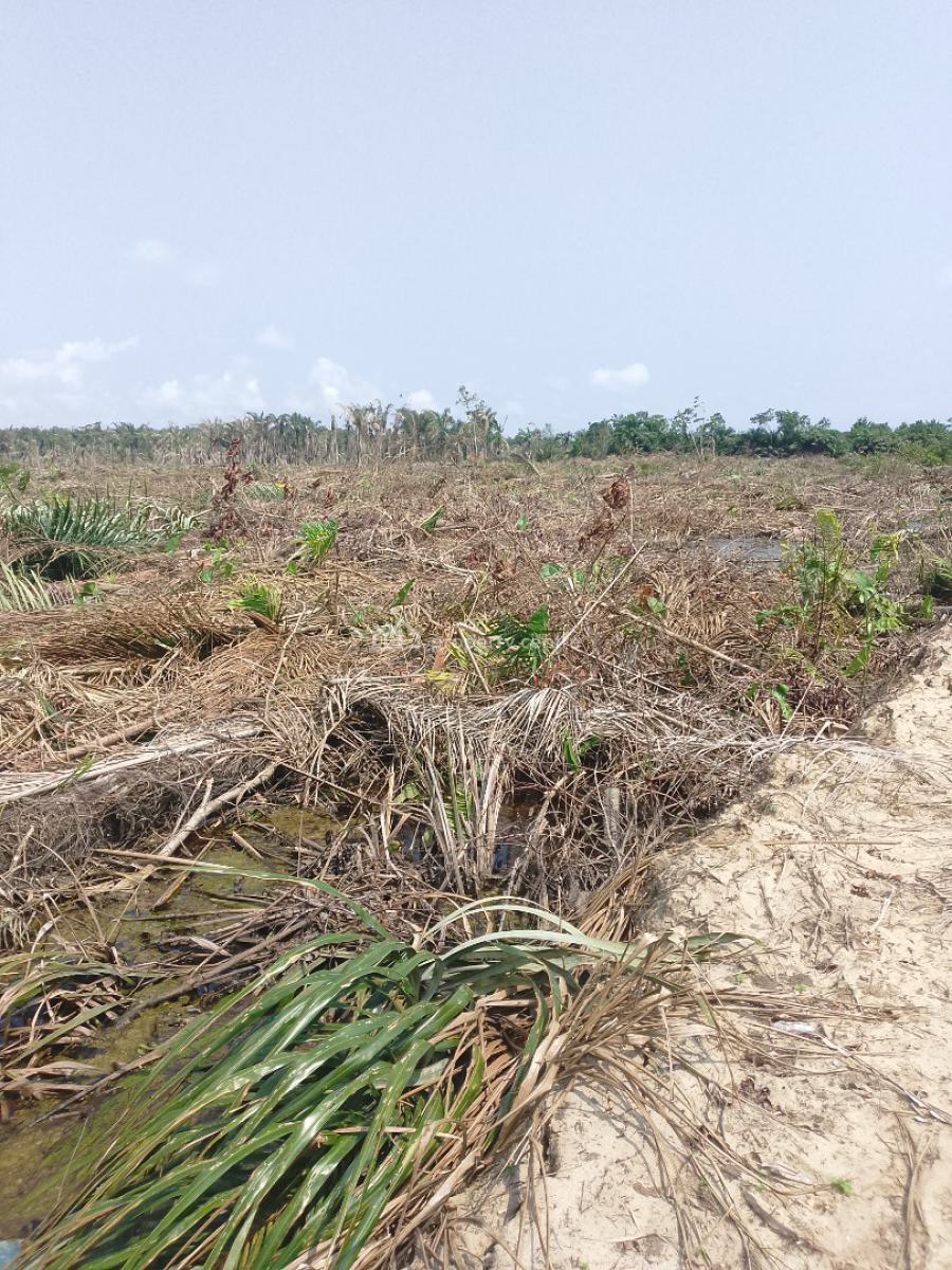 Affordable Land with C of O Near Lekki Lagos Airport, Elerenigbe, Ibeju Lekki, Lagos, Land for Sale